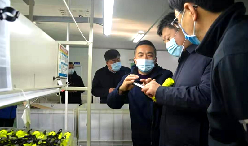 龍口市領導到東方電子旗下東立公司考察指導工作